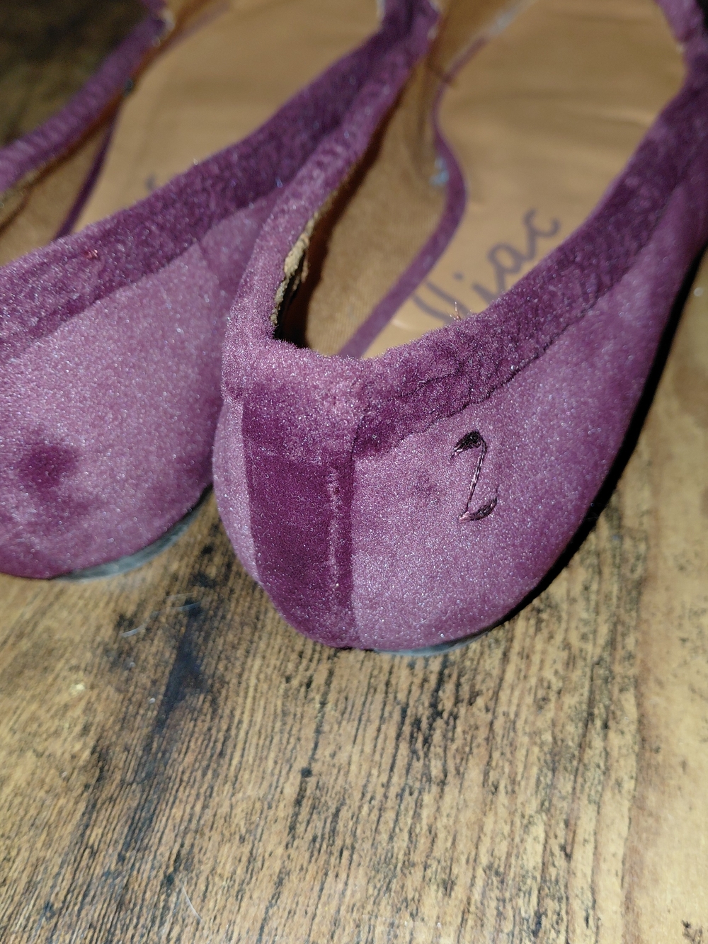 Zodiac Plum Suede Pointed-Toe Flats - Picture 2 of 6
